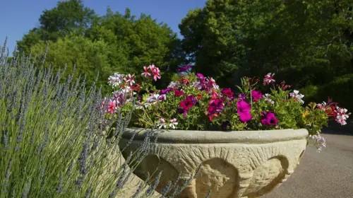 Camping Domaine de la Paille Basse - Soulliac, Dordogne, France