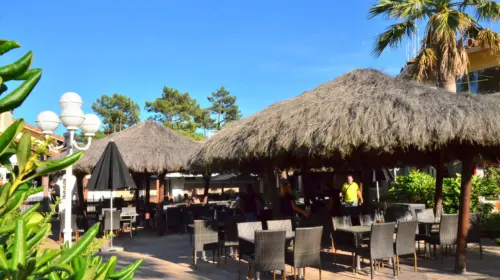 Camping Le Vieux Port - Messanges, Nouvelle-Aquitaine, Sud de la France