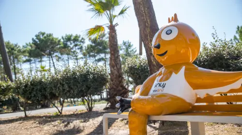 Camping Le Vieux Port - Messanges, Nouvelle-Aquitaine, Sud de la France
