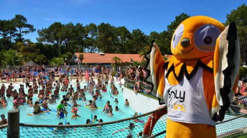 Camping Le Vieux Port - Messanges, Nouvelle-Aquitaine, Sud de la France