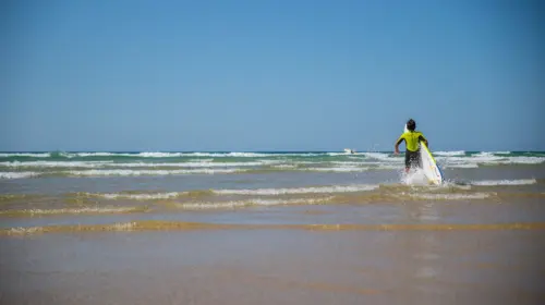 Camping Le Vieux Port - Messanges, Nouvelle-Aquitaine, Sud de la France