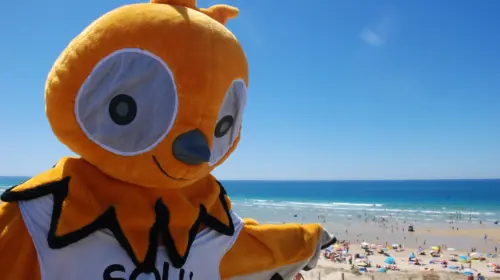 Camping Le Vieux Port - Messanges, Nouvelle-Aquitaine, Sud de la France